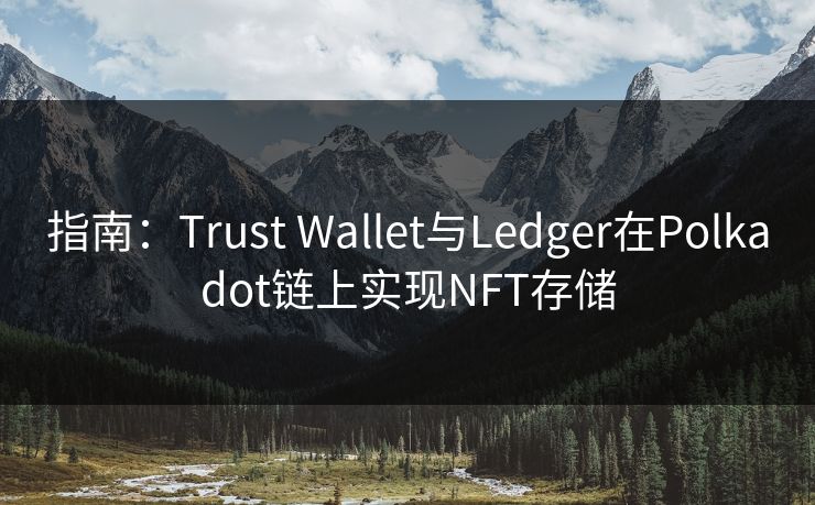 指南：Trust Wallet与Ledger在Polkadot链上实现NFT存储