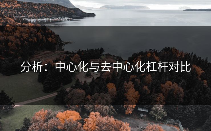 分析：中心化与去中心化杠杆对比