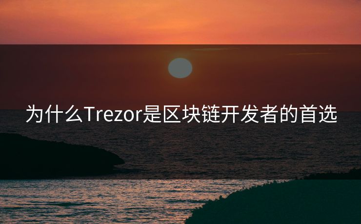 为什么Trezor是区块链开发者的首选